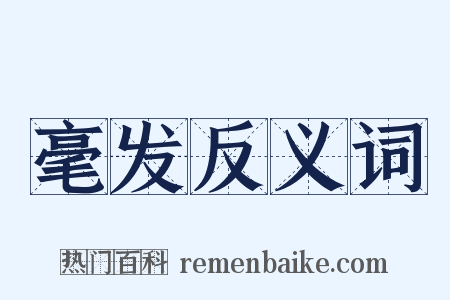 毫发反义词是什么意思的图片